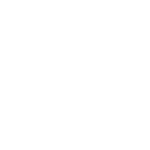 Logo instagram